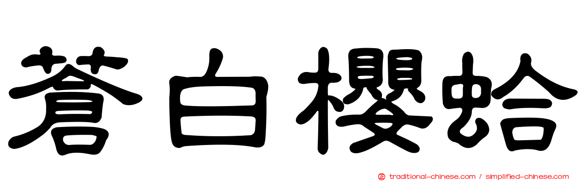 蒼白櫻蛤