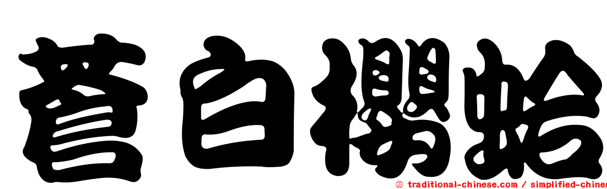 蒼白櫻蛤