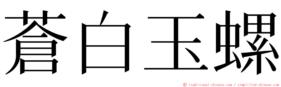 蒼白玉螺 ming font