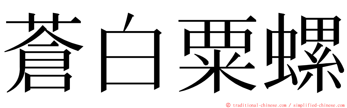 蒼白粟螺 ming font