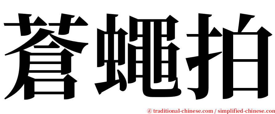蒼蠅拍 serif font