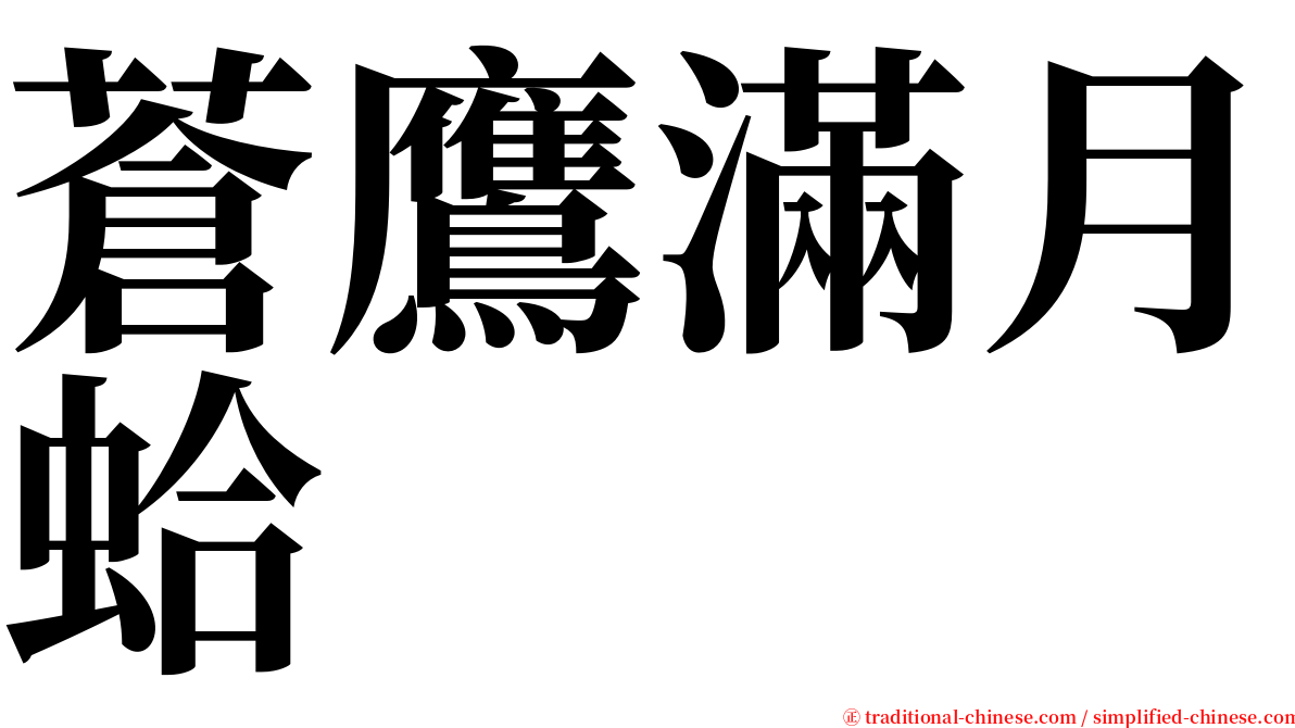 蒼鷹滿月蛤 serif font