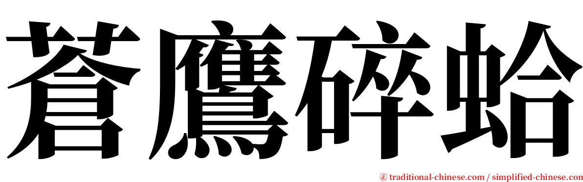 蒼鷹碎蛤 serif font