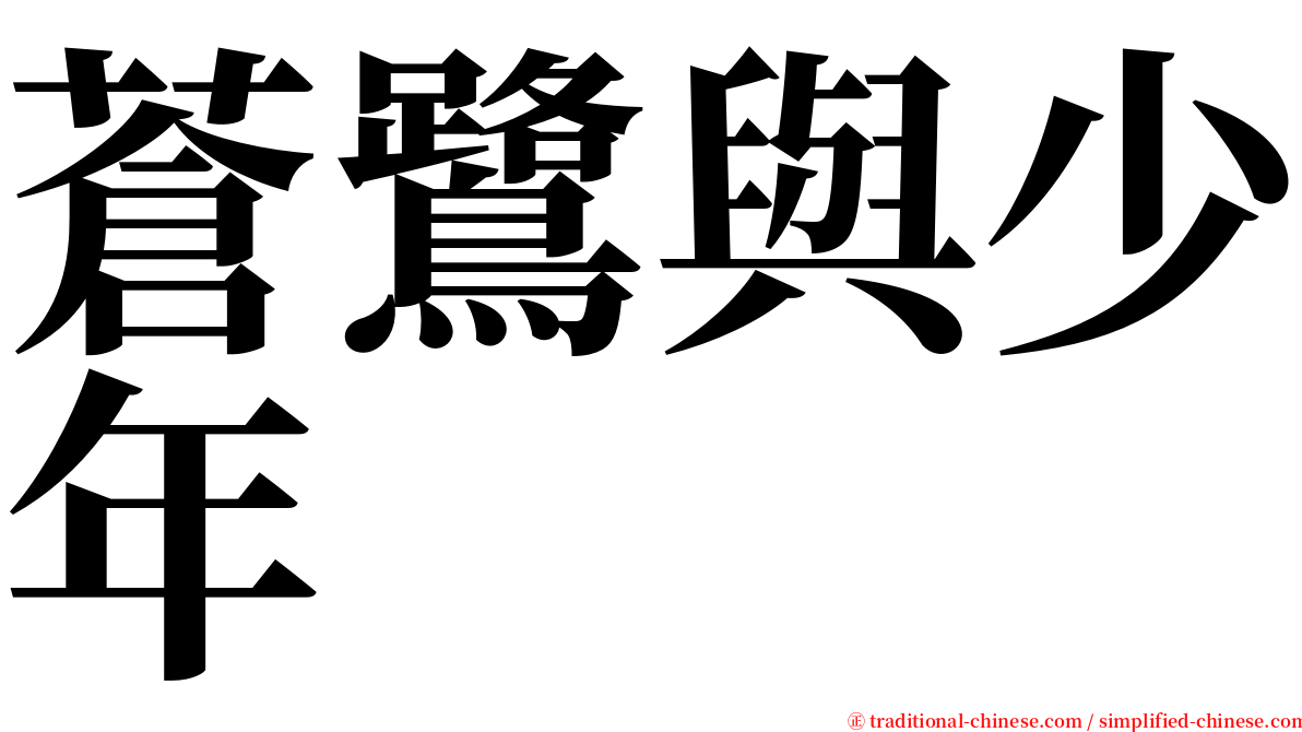 蒼鷺與少年 serif font