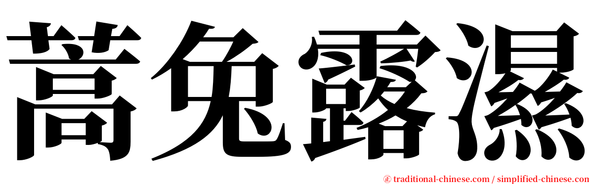 蒿兔露濕 serif font