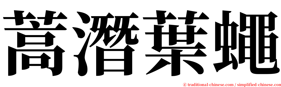 蒿潛葉蠅 serif font