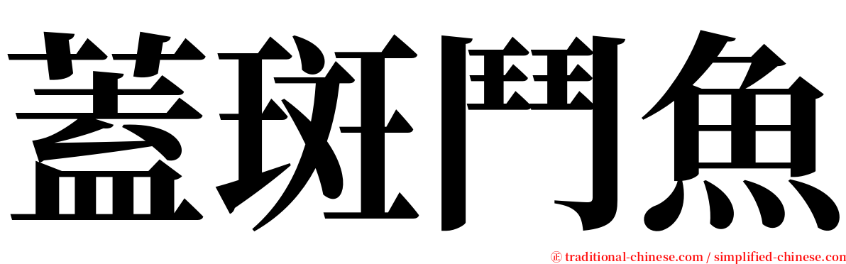 蓋斑鬥魚 serif font