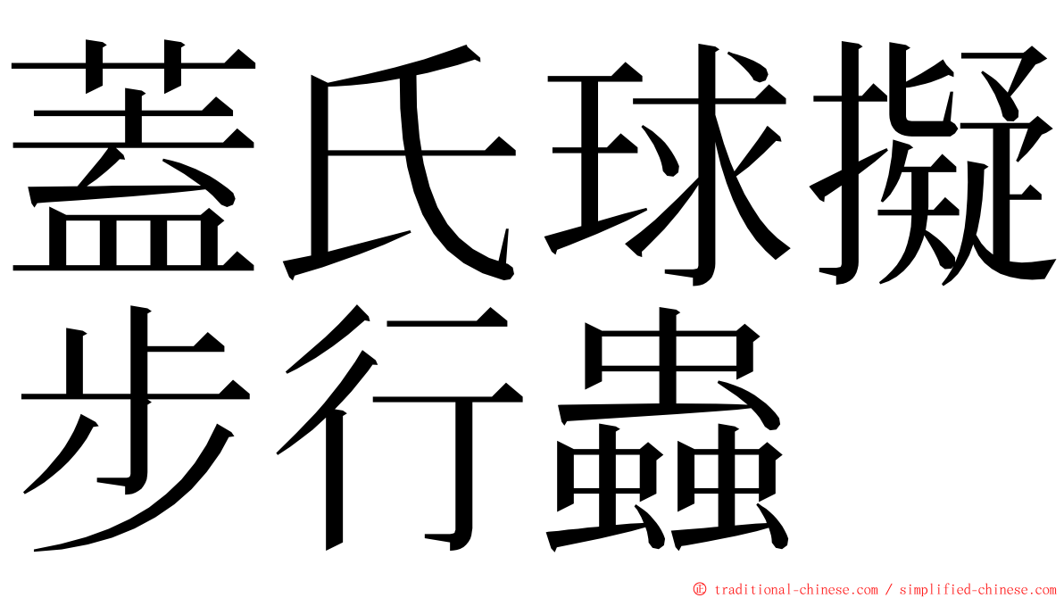 蓋氏球擬步行蟲 ming font