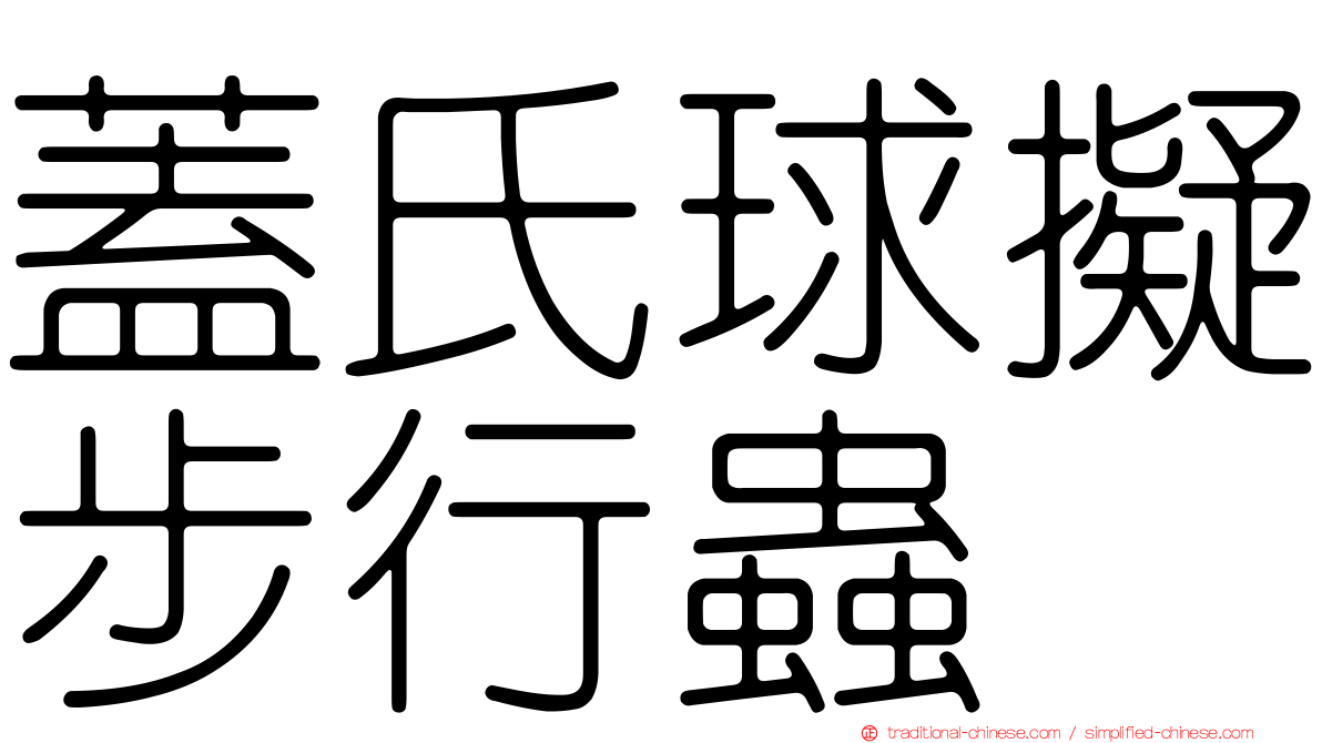 蓋氏球擬步行蟲