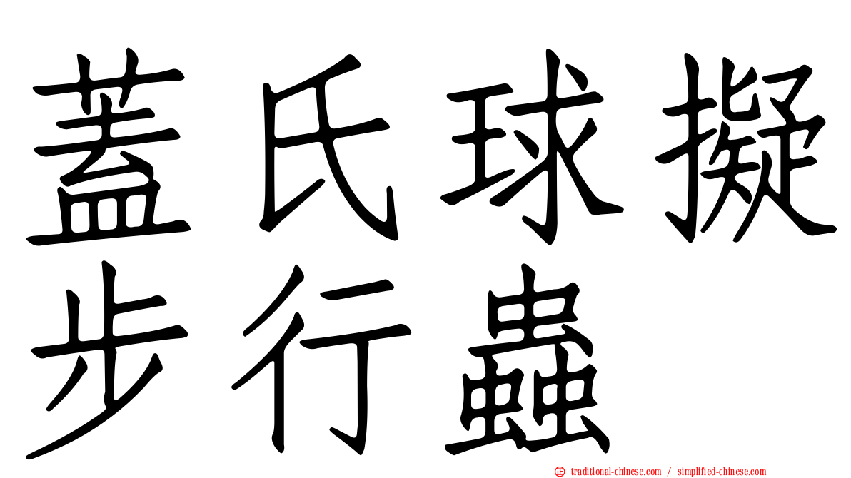 蓋氏球擬步行蟲