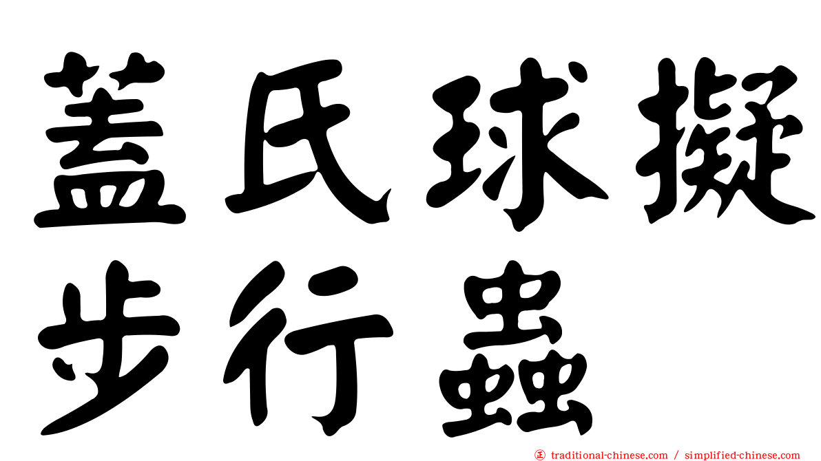 蓋氏球擬步行蟲