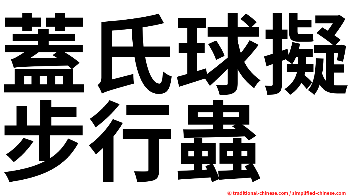 蓋氏球擬步行蟲