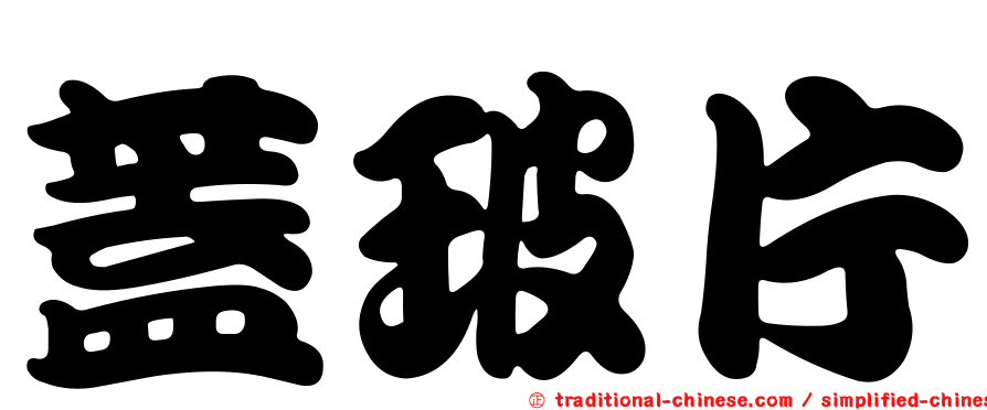 蓋玻片