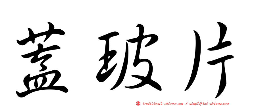 蓋玻片
