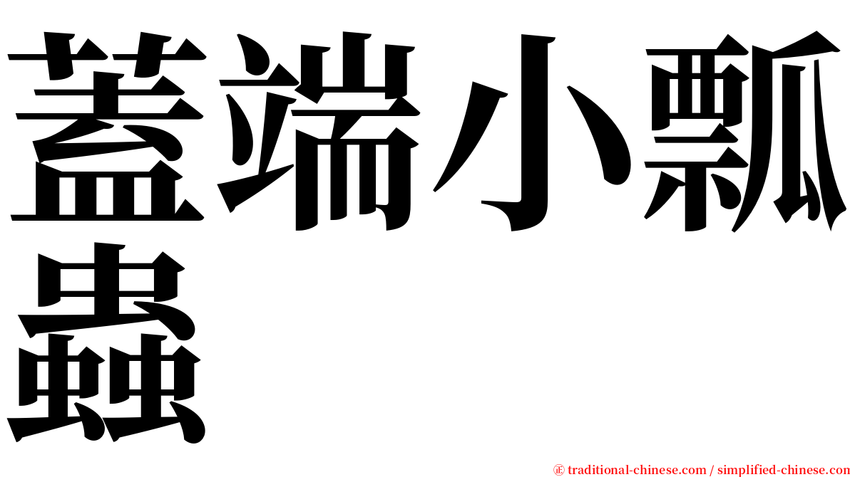 蓋端小瓢蟲 serif font