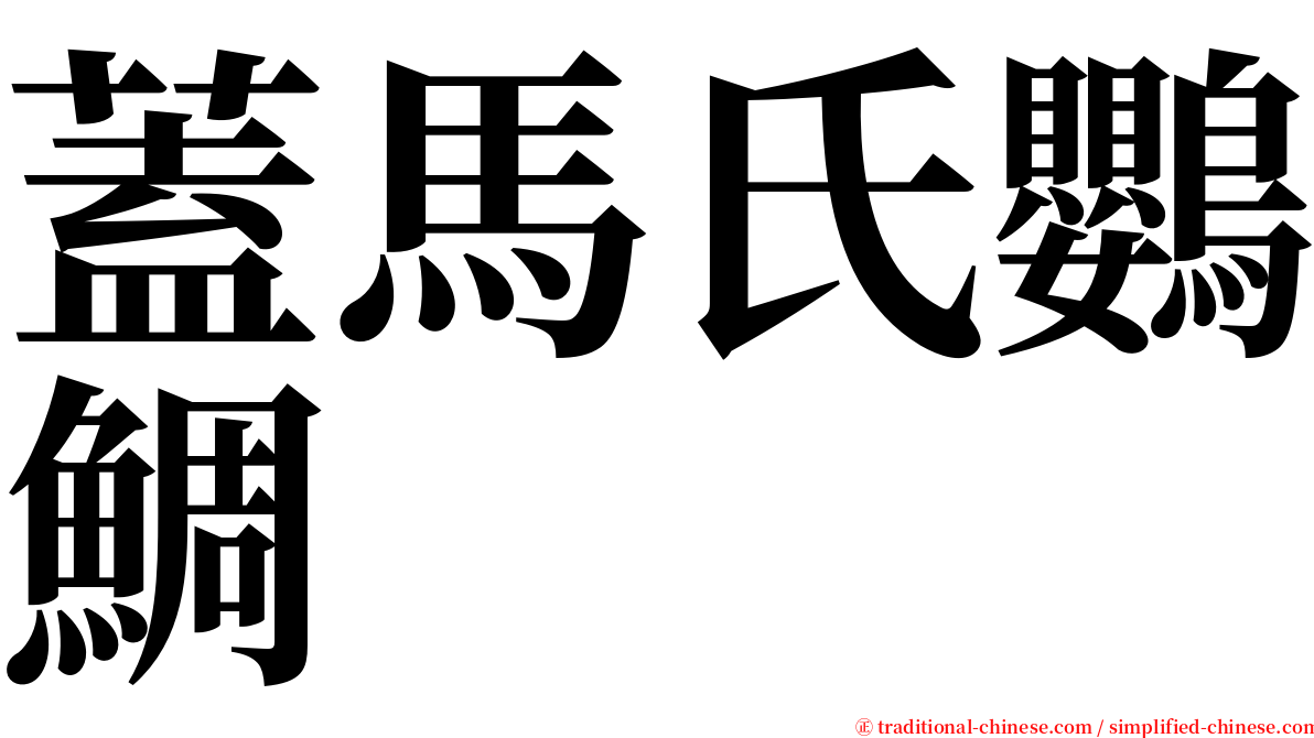 蓋馬氏鸚鯛 serif font