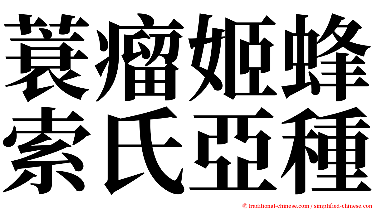 蓑瘤姬蜂索氏亞種 serif font