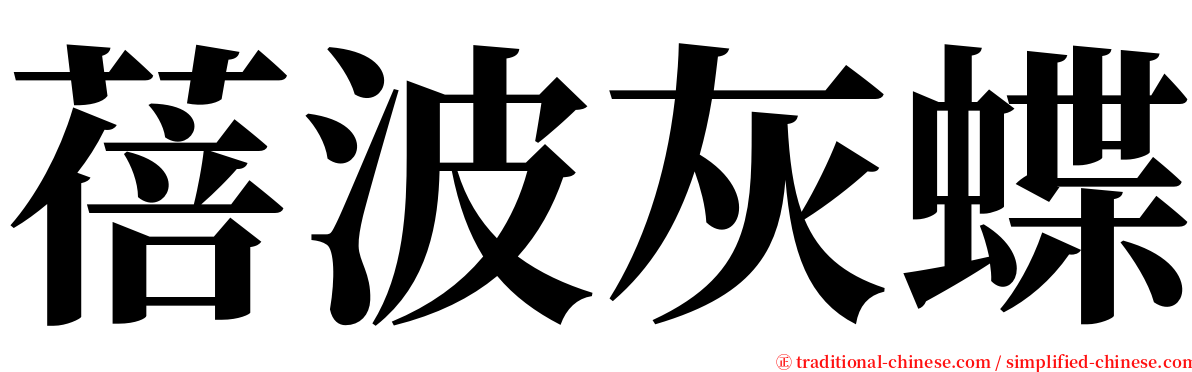 蓓波灰蝶 serif font