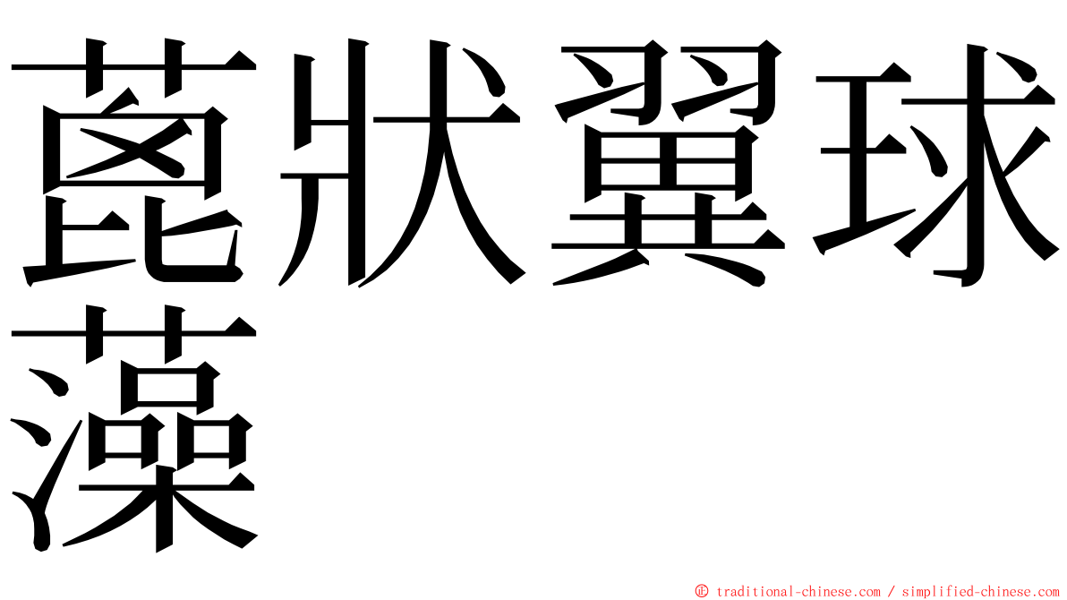 蓖狀翼球藻 ming font