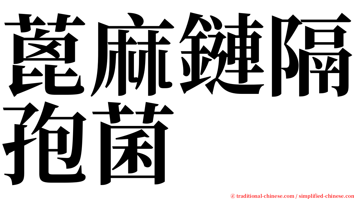 蓖麻鏈隔孢菌 serif font