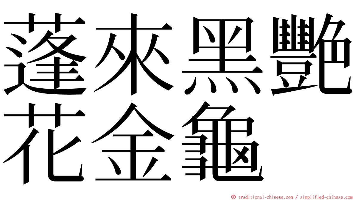 蓬來黑艷花金龜 ming font