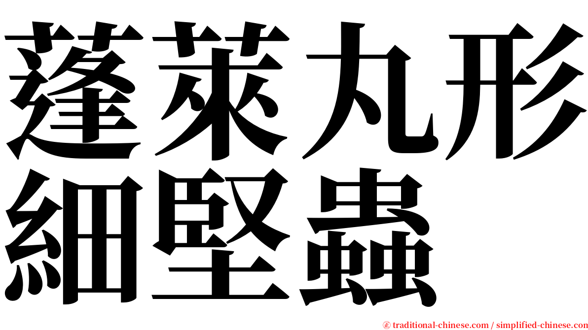 蓬萊丸形細堅蟲 serif font