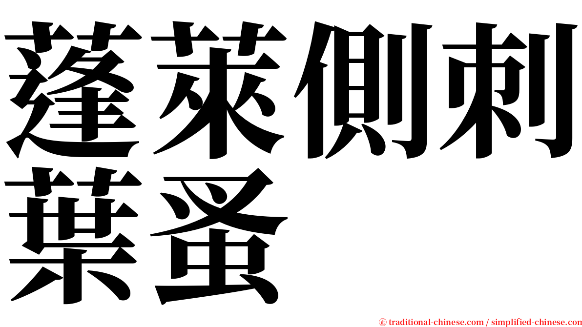 蓬萊側刺葉蚤 serif font