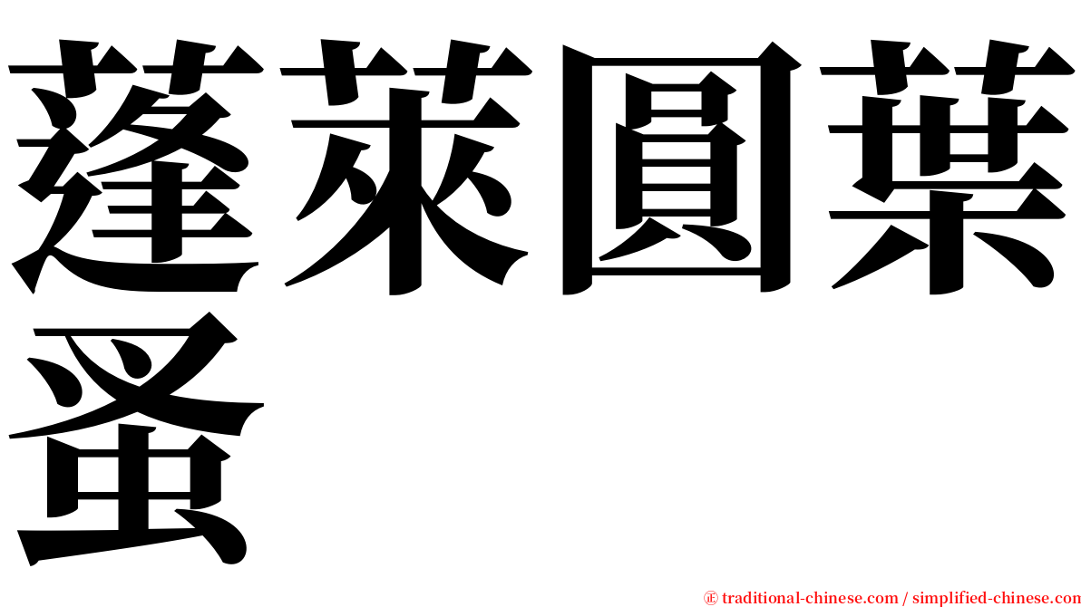 蓬萊圓葉蚤 serif font