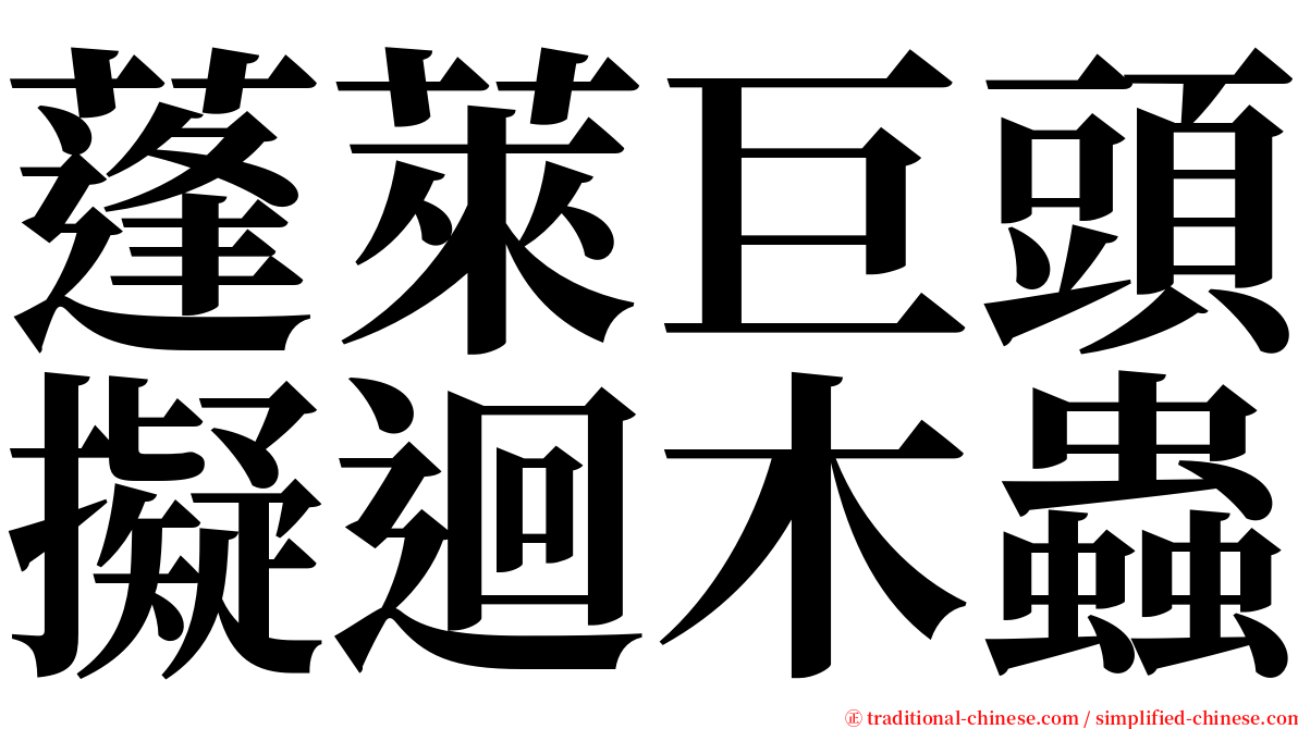 蓬萊巨頭擬迴木蟲 serif font