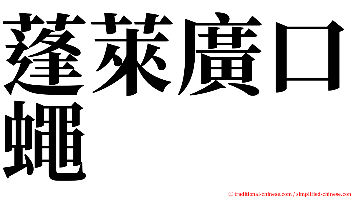 蓬萊廣口蠅 serif font