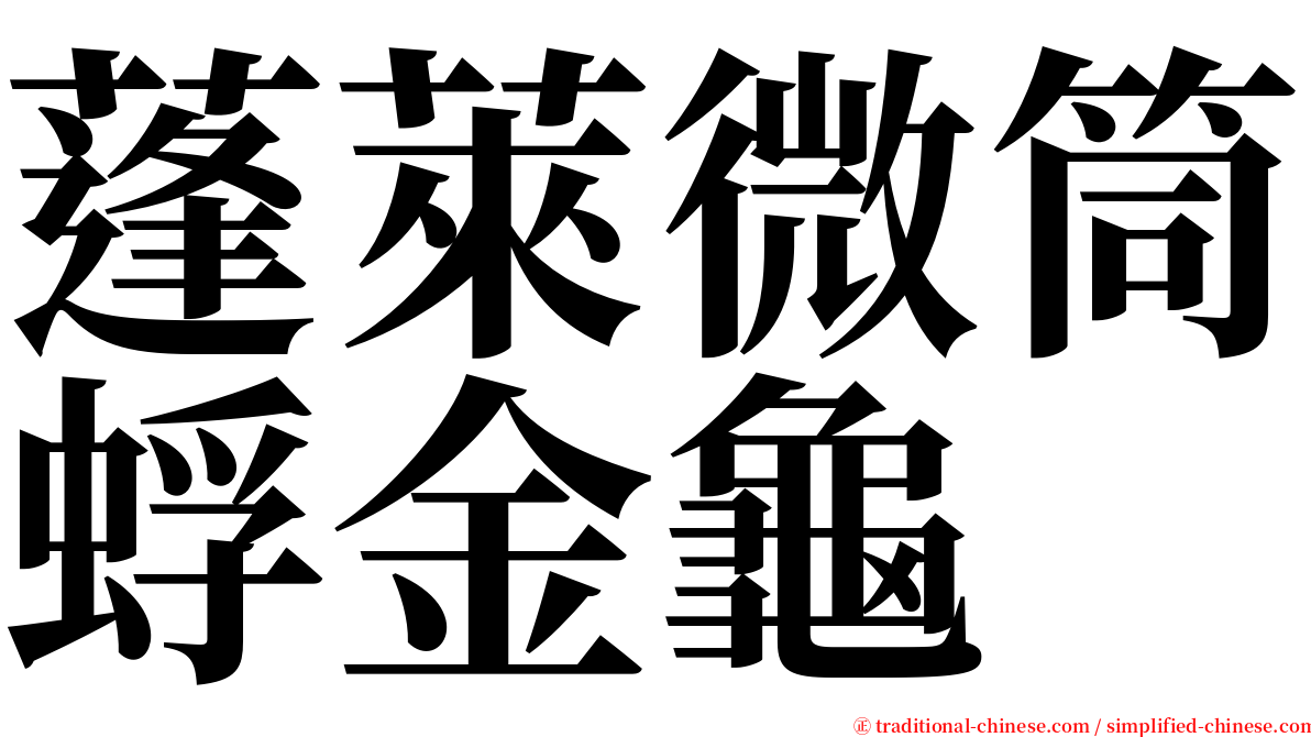蓬萊微筒蜉金龜 serif font