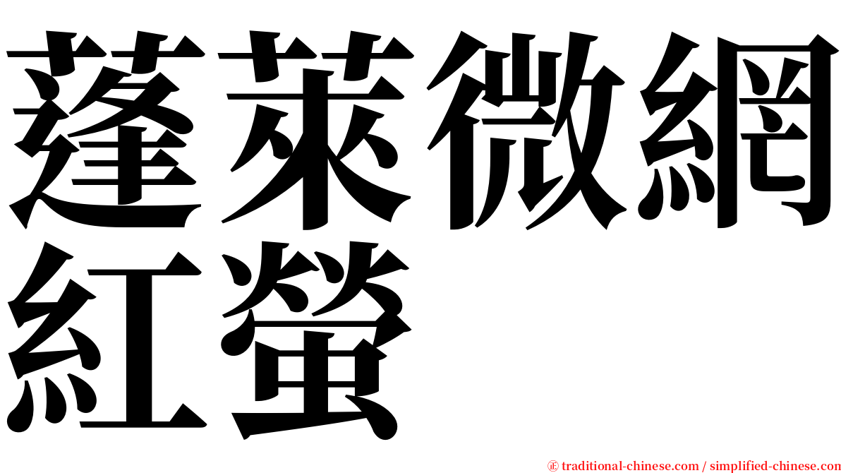 蓬萊微網紅螢 serif font