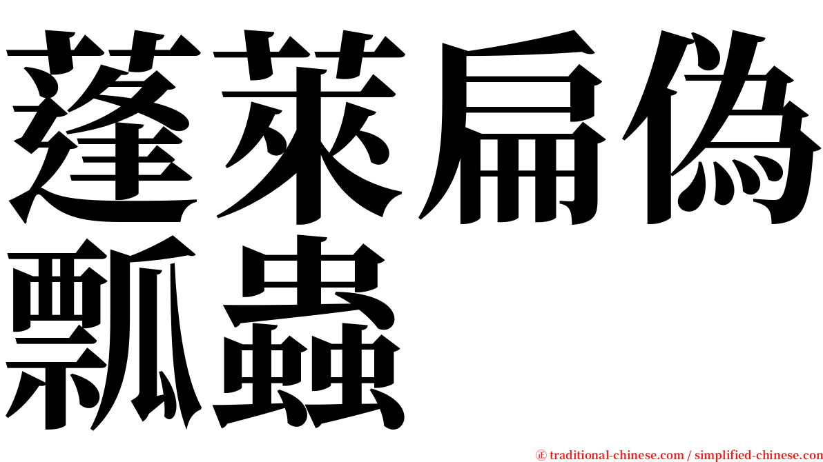 蓬萊扁偽瓢蟲 serif font