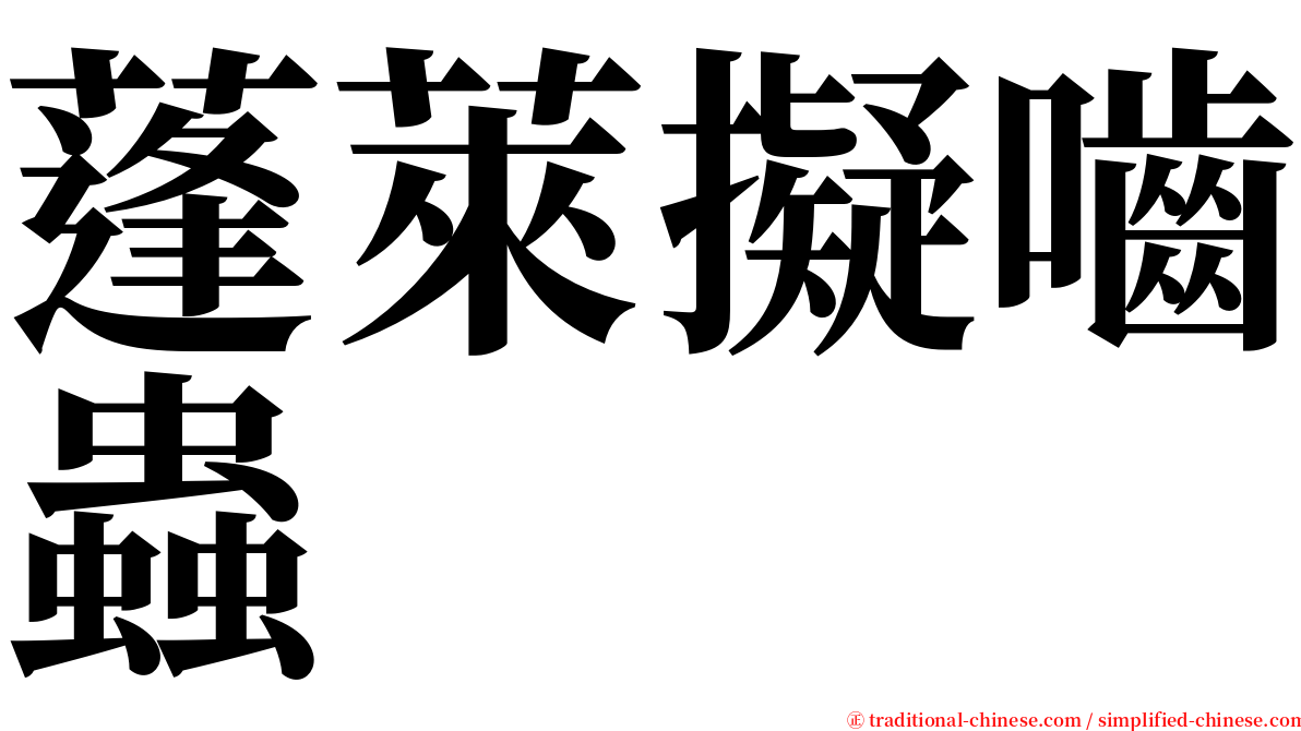 蓬萊擬嚙蟲 serif font