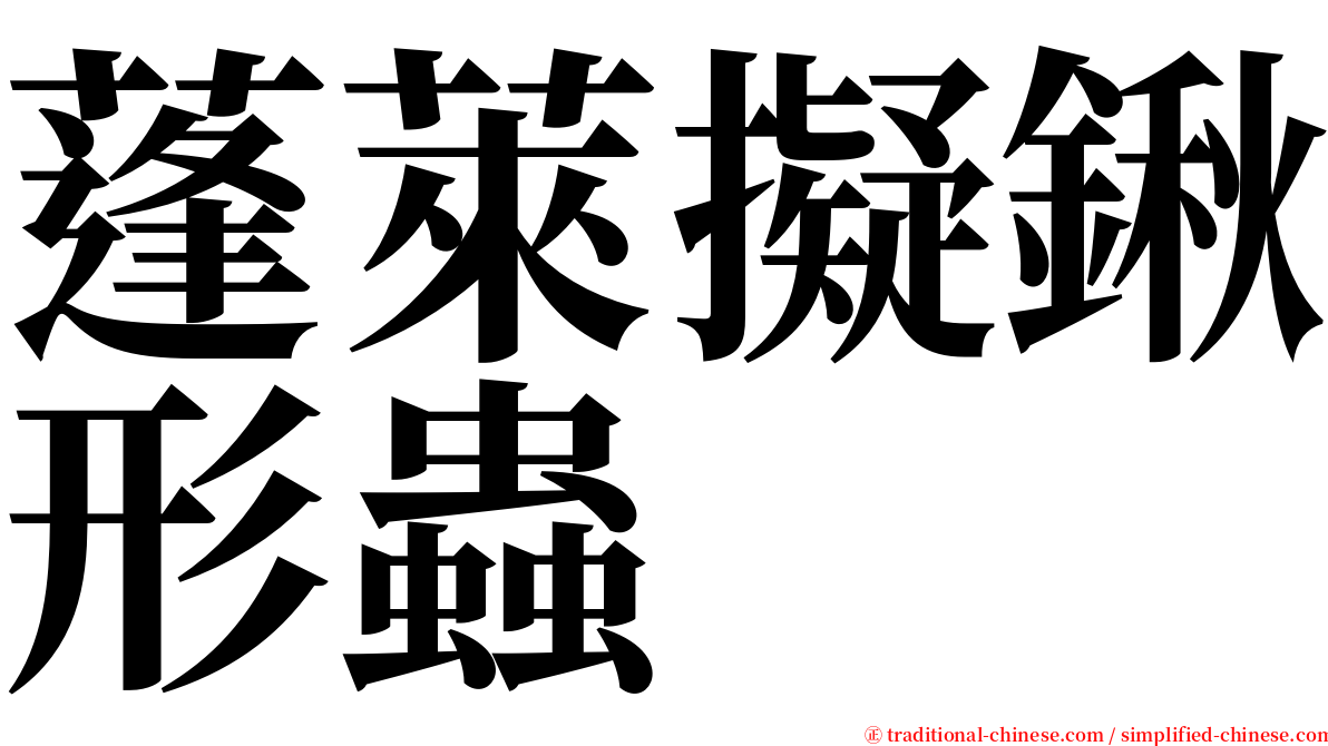 蓬萊擬鍬形蟲 serif font