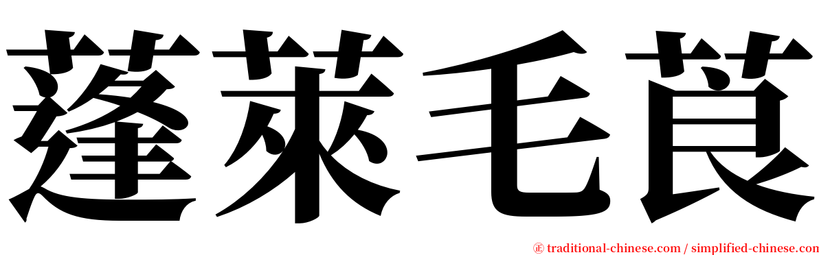 蓬萊毛莨 serif font