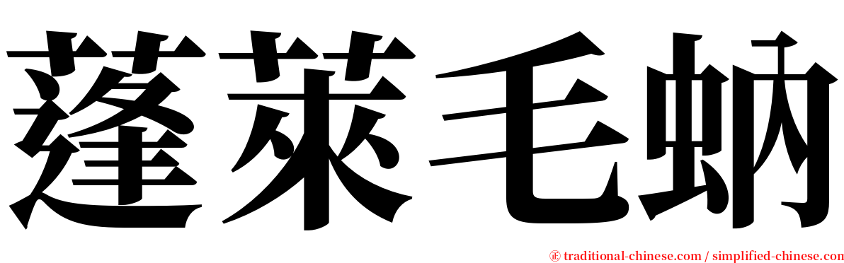 蓬萊毛蚋 serif font