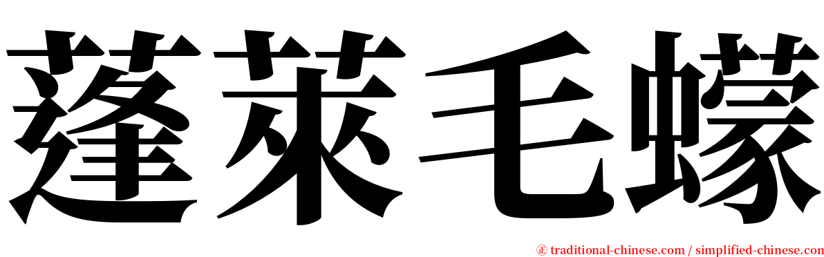 蓬萊毛蠓 serif font