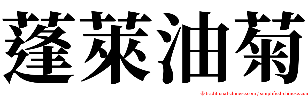 蓬萊油菊 serif font