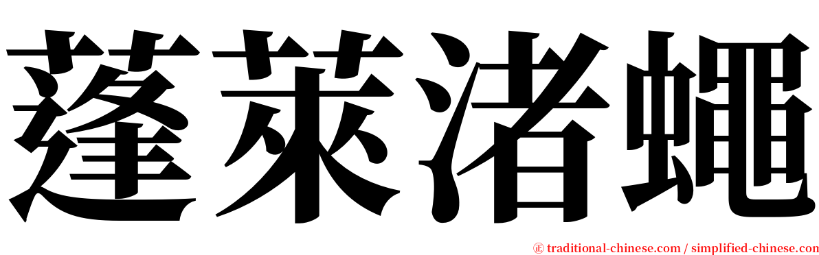 蓬萊渚蠅 serif font