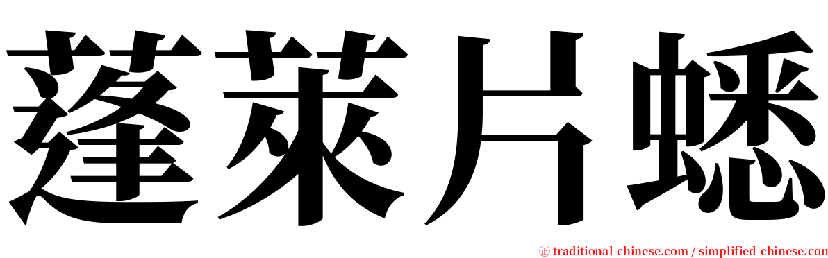 蓬萊片蟋 serif font