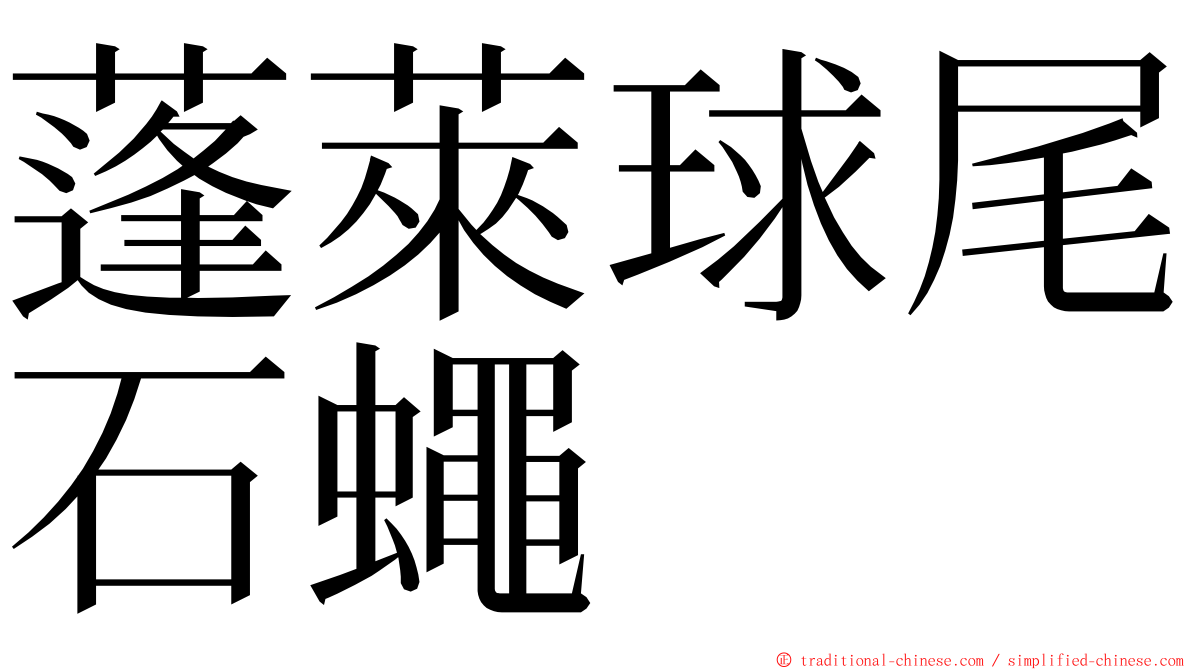 蓬萊球尾石蠅 ming font