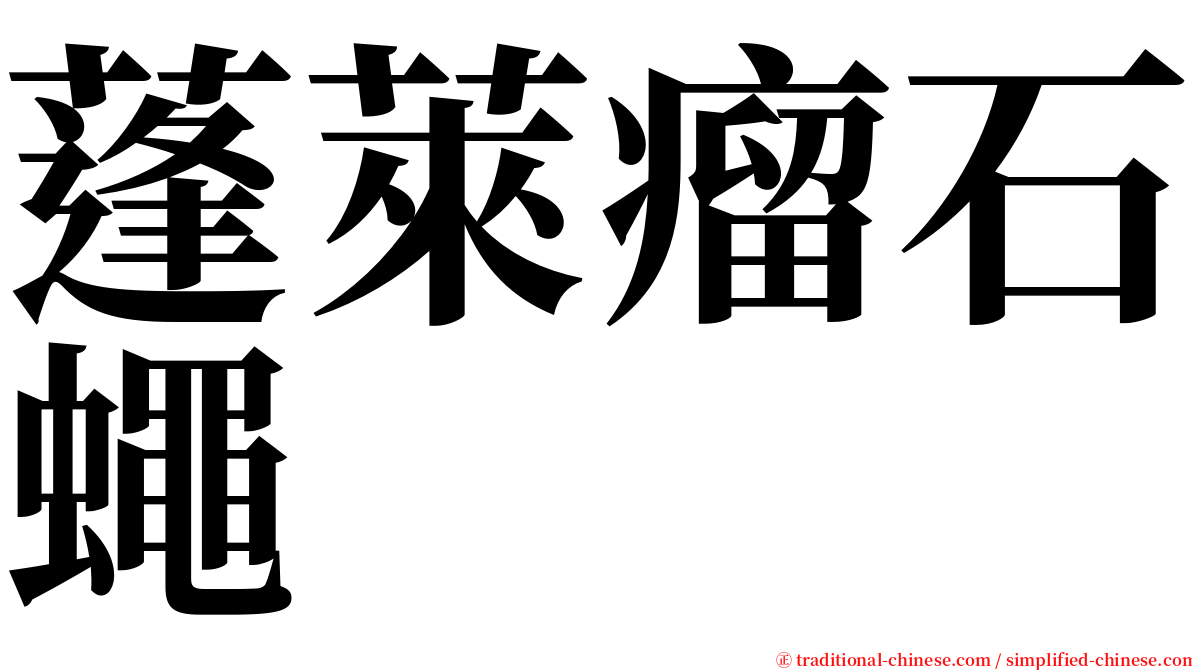 蓬萊瘤石蠅 serif font