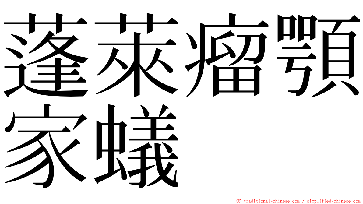 蓬萊瘤顎家蟻 ming font