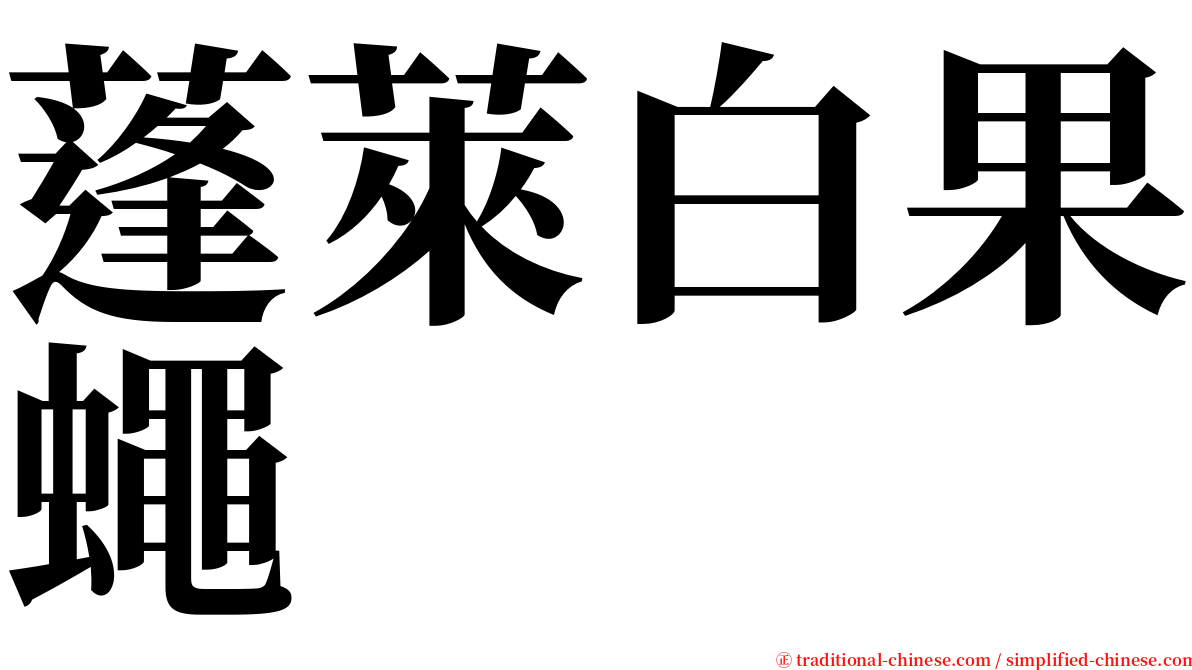 蓬萊白果蠅 serif font