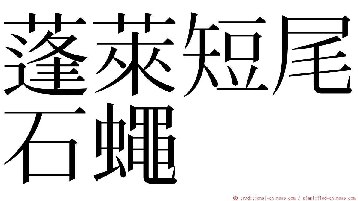 蓬萊短尾石蠅 ming font