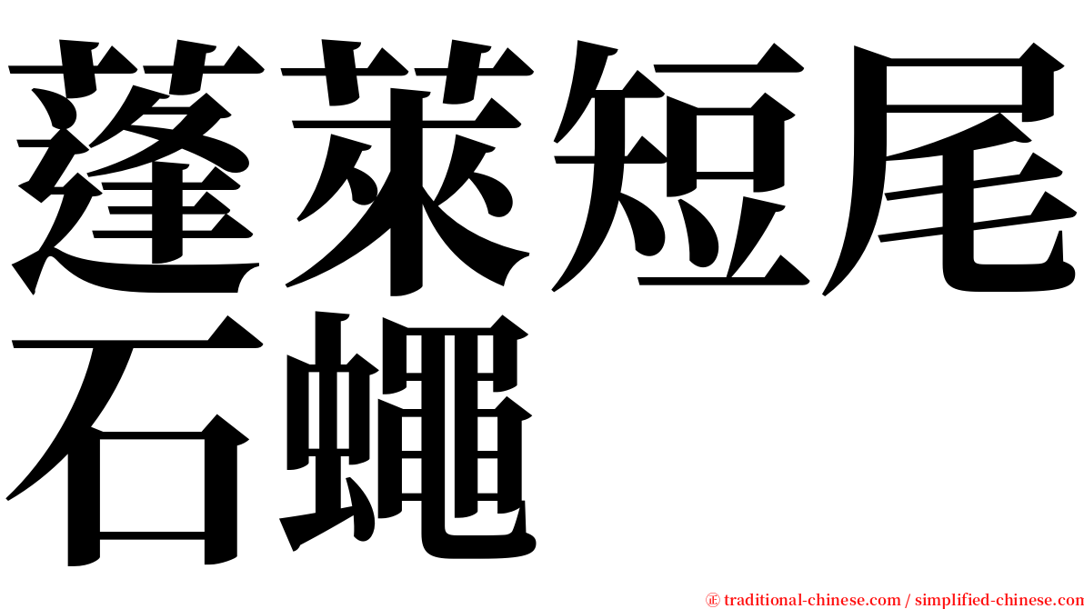 蓬萊短尾石蠅 serif font