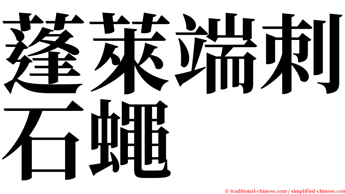 蓬萊端刺石蠅 serif font