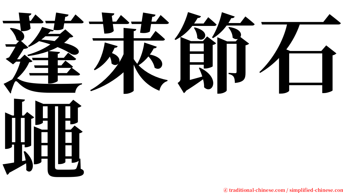 蓬萊節石蠅 serif font