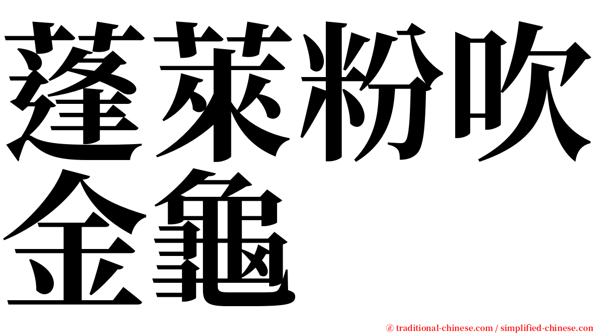 蓬萊粉吹金龜 serif font